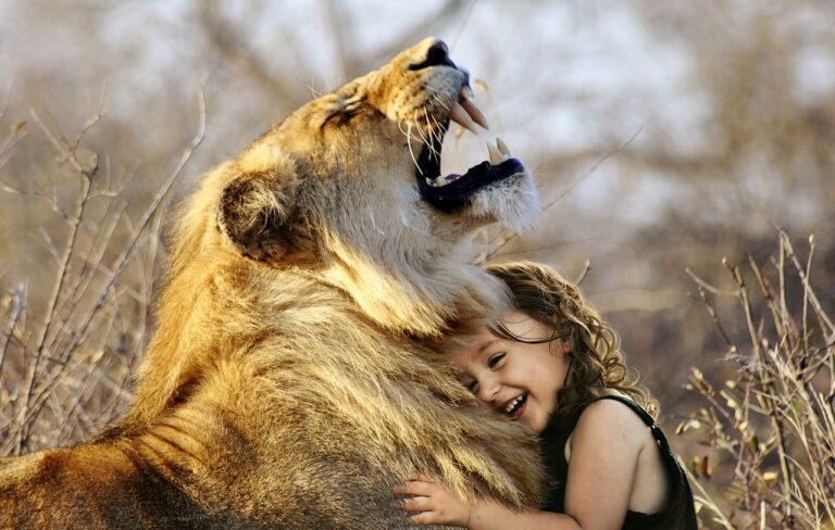Lion, Roar, Africa image